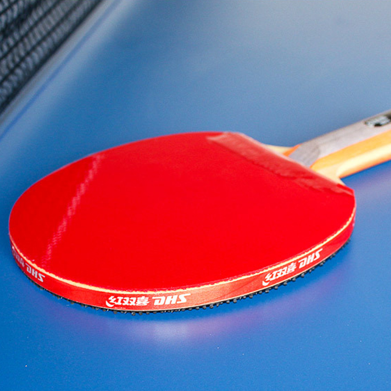 DHS zelfklevende Tafeltennis R - Table Tennis Net Set recensie en prijs