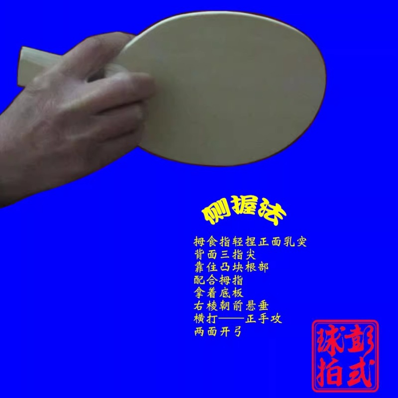 Chinese/Japanse Stijl Tafelten - Table Tennis Xiom recensie en prijs